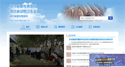 Desktop Screenshot of hbav.gov.cn